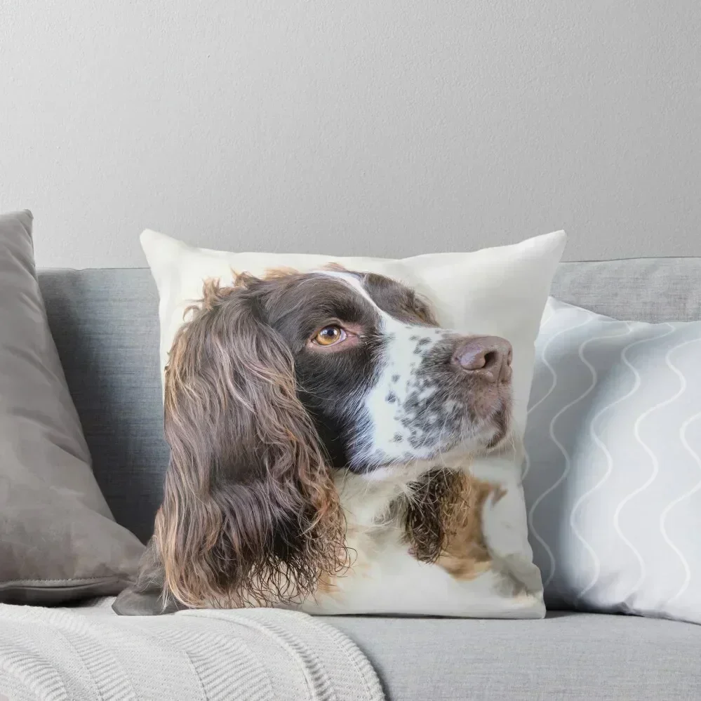 

Harvey Throw Pillow autumn decoration Pillow Cover ornamental pillows pillow