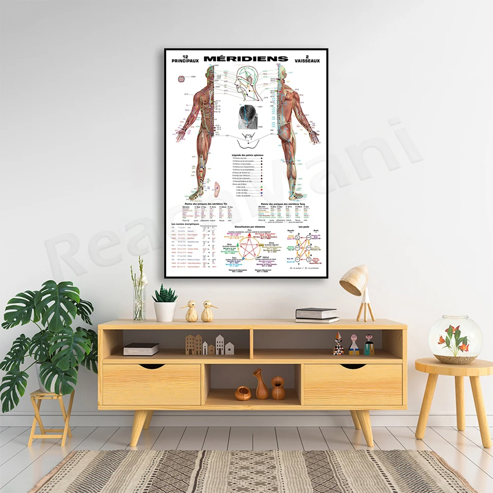 Chinese Meridian Poster, Chinese Meridian Canvas Painting Home Decor, Anatomy Human Body Modular Picture, Medical Gift Printing