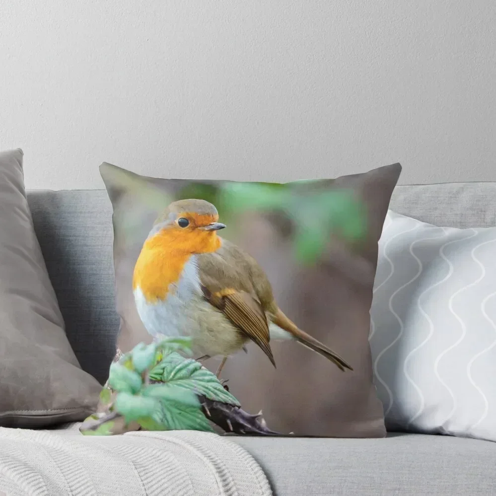 Robin perched on brambles Throw Pillow Sofa Covers For Living Room Pillowcases For Pillows covers for pillows pillow