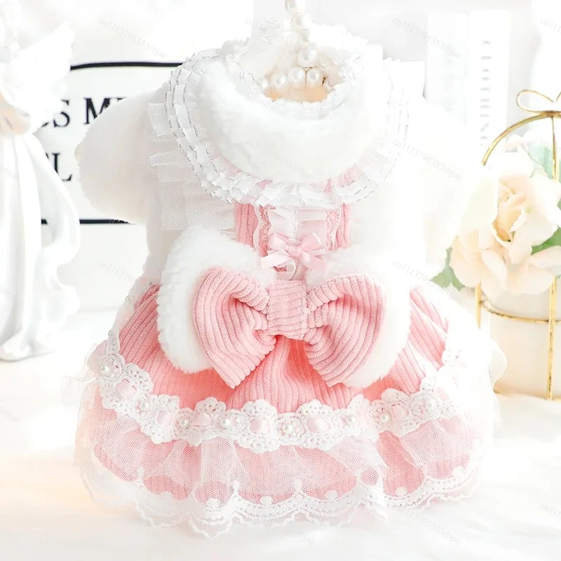Dog Clothes Autumn and Winter Thick Cat Princess Dress Bow Lace Small Dog Teddy Pet Supplies