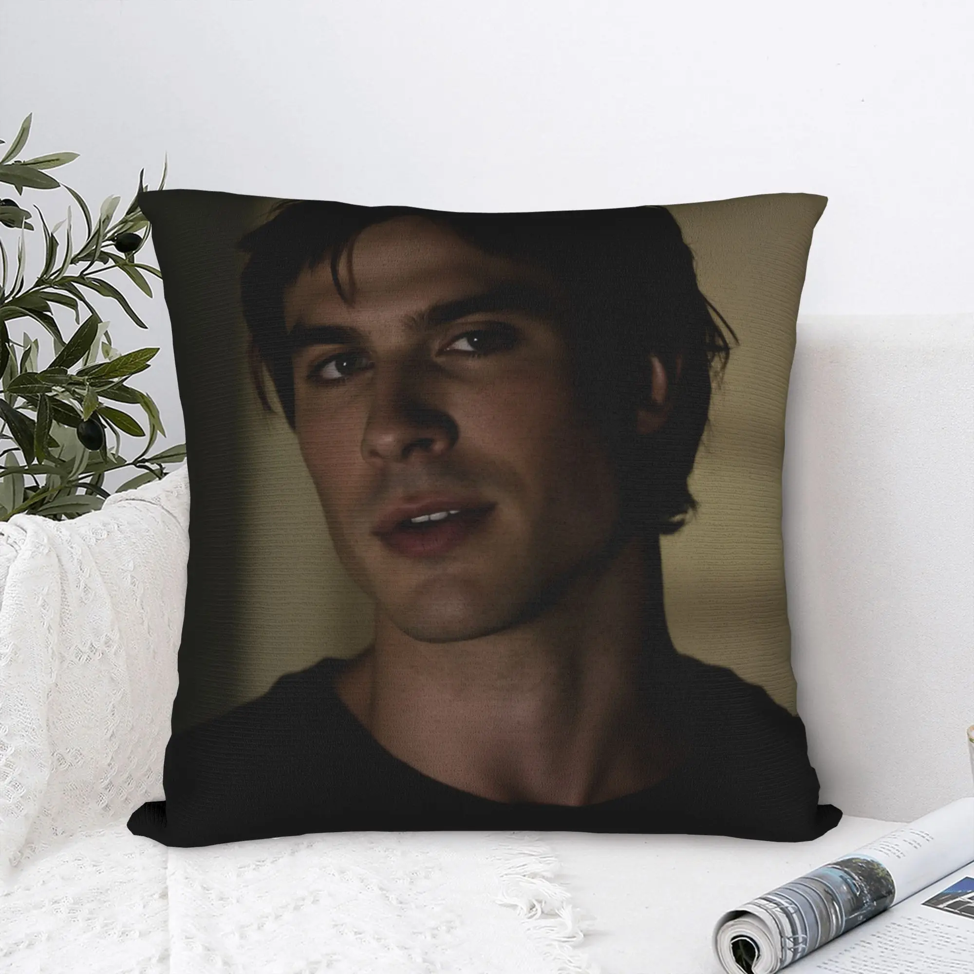 Damon Salvatore The Vampire Diaries  Pillowcases  Morden Pillow Case For Couch Sofa Bedroom Comfy Pillow Cover