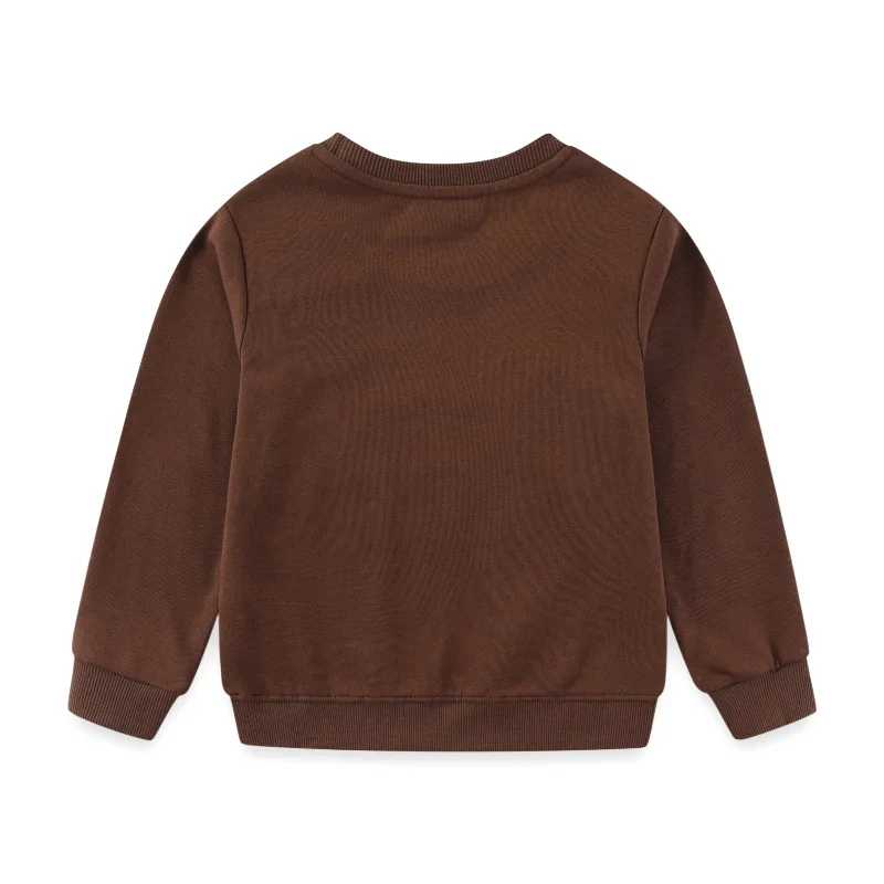 

Children's Autumn Sweatshirt with Dinosaur Pattern, Crew Neck, New Spring and Autumn Pullover for Boys, Wholesale