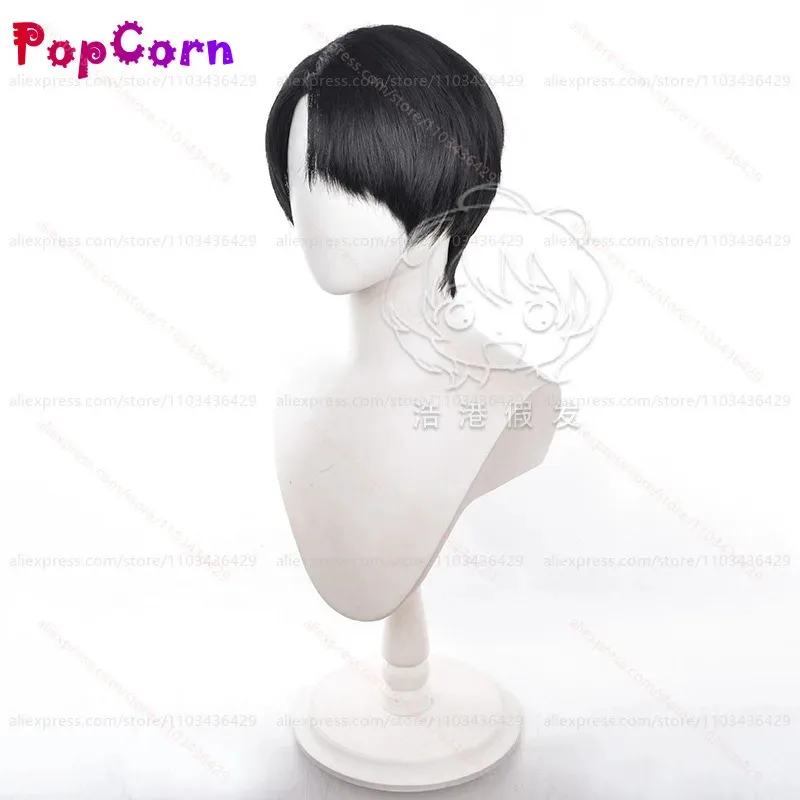 qq28LQLevi Ackerman Unisex 30cm Short Hair Black Wig Anime Cosplay Heat Resistant Synthetic Wigs