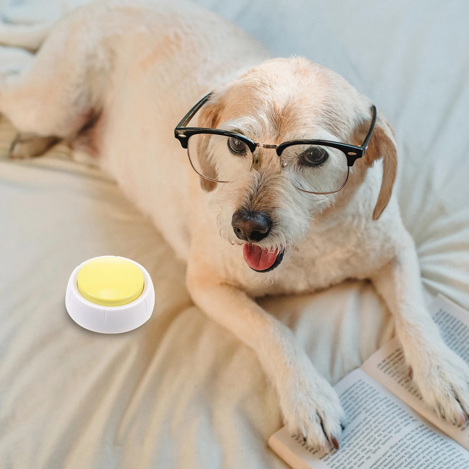 

Pet Voice Button Recordable Training Communicate Dog Cat Smart Durable PP Interactive Reduce Destructive Behavior