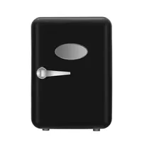 Small Portable Cosmetic Skincare Refrigerator Mini Makeup Beauty Fridge 4L DC AC 12V 110V 220V Car Bedroom Refrigerator