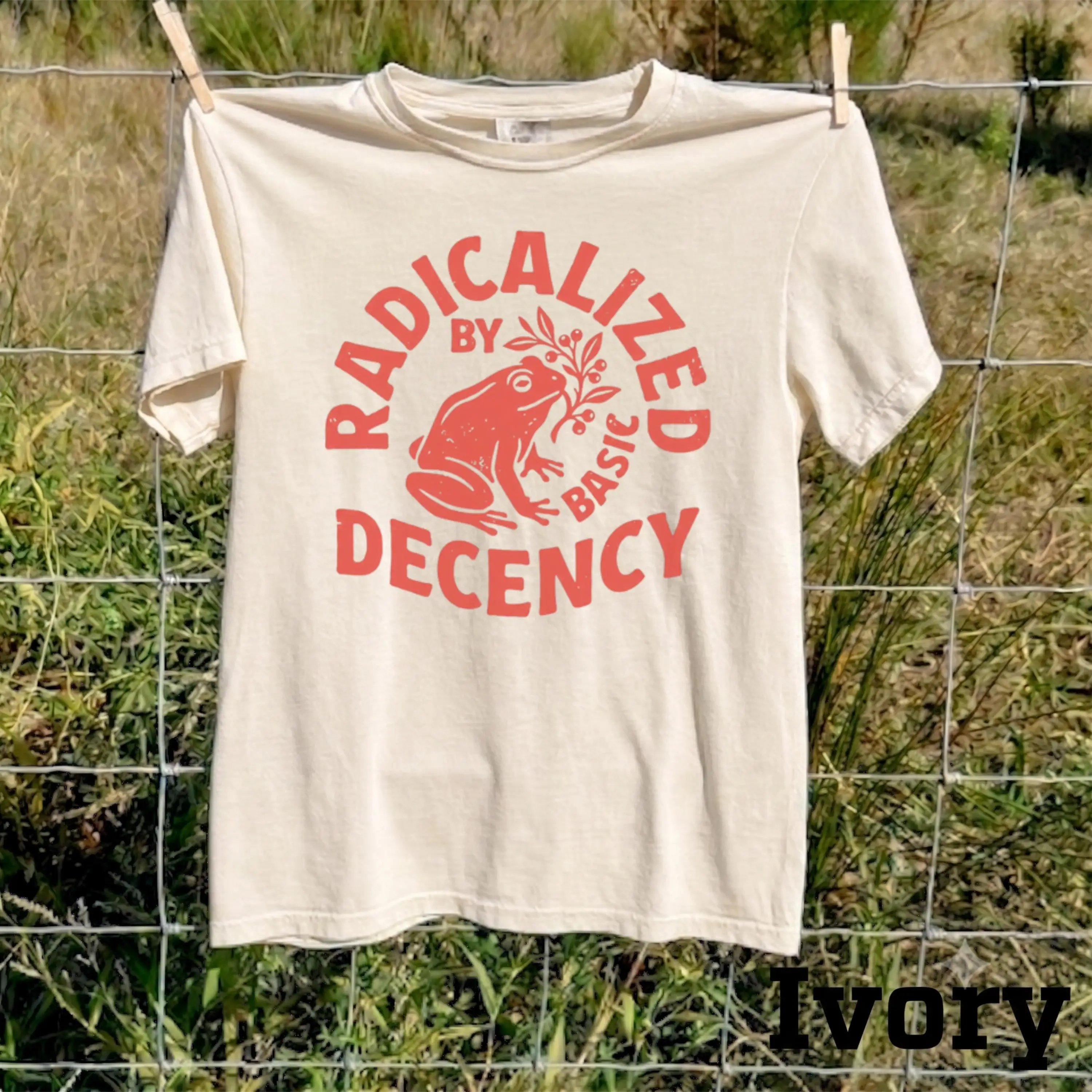 Radicalized By Basic Decency Shirt, Funny Frog Tee, Vintage Activist Top, Cottagecore Toad Apparel, Sarcastic Empathy Gift