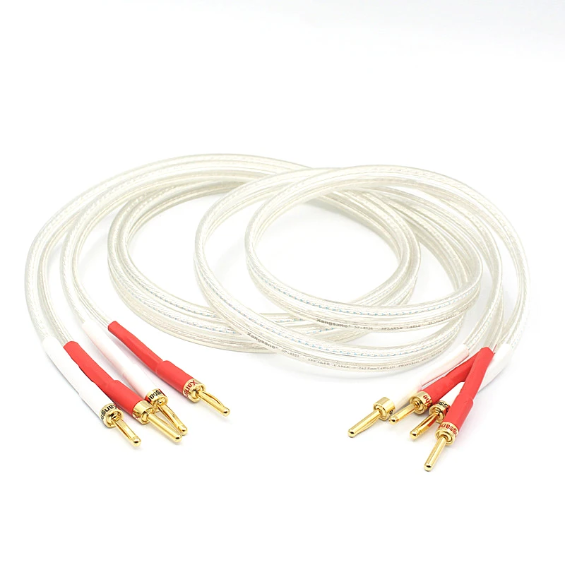 Pair of Hifi 6N OFC Hifi Speaker Cable Hi-end Speaker Wire for Amplifiers and CD with Banana Plugs 2 to 2