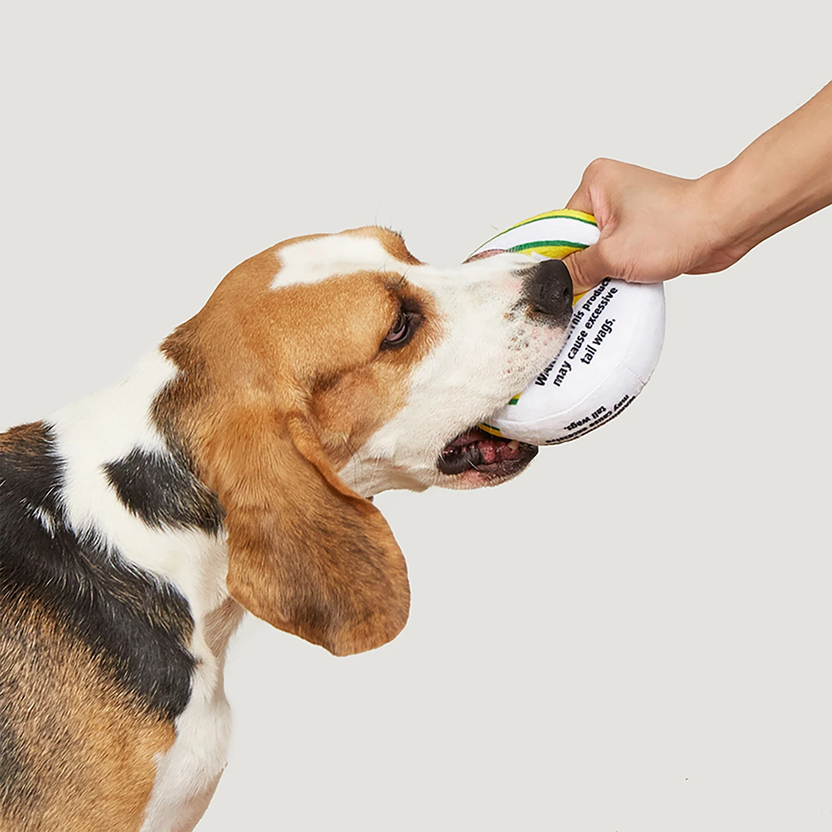 Zen Pupper Deckies Parodie Hundespielzeug – Plüsch quietschendes und knuspriges lustiges Hundespielzeug – Sabbern Mint – Detail 11