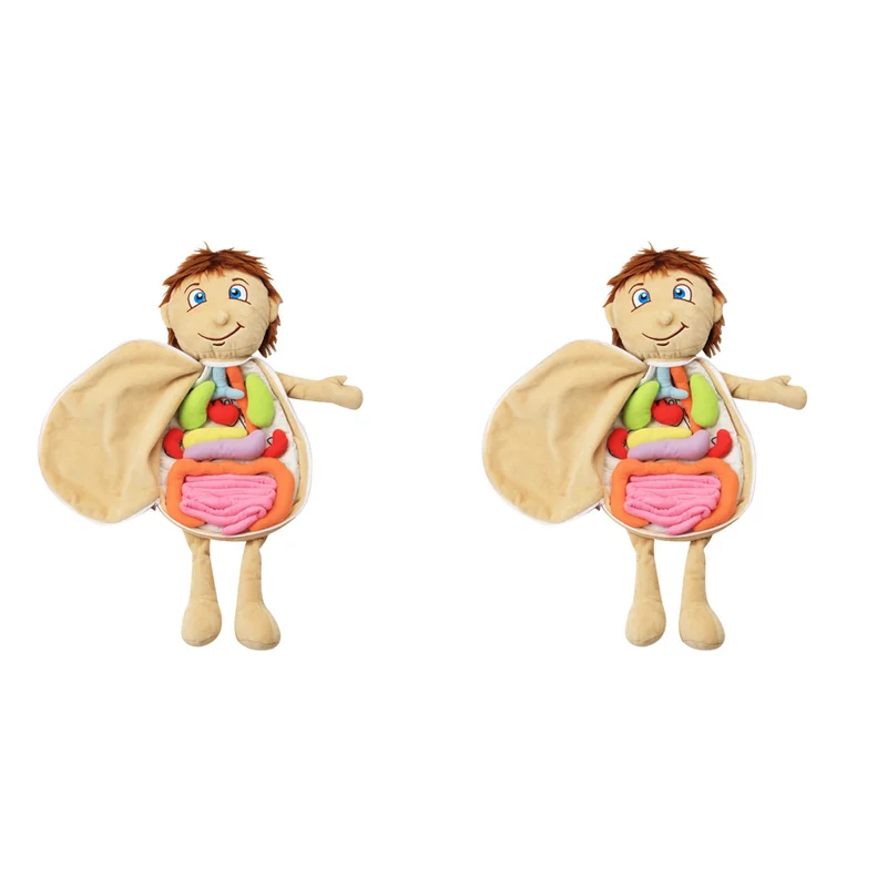 2X Kids Assembled Plush Body Organs Human Body Anatomy Plush Science Teaching Aids Tool Educational