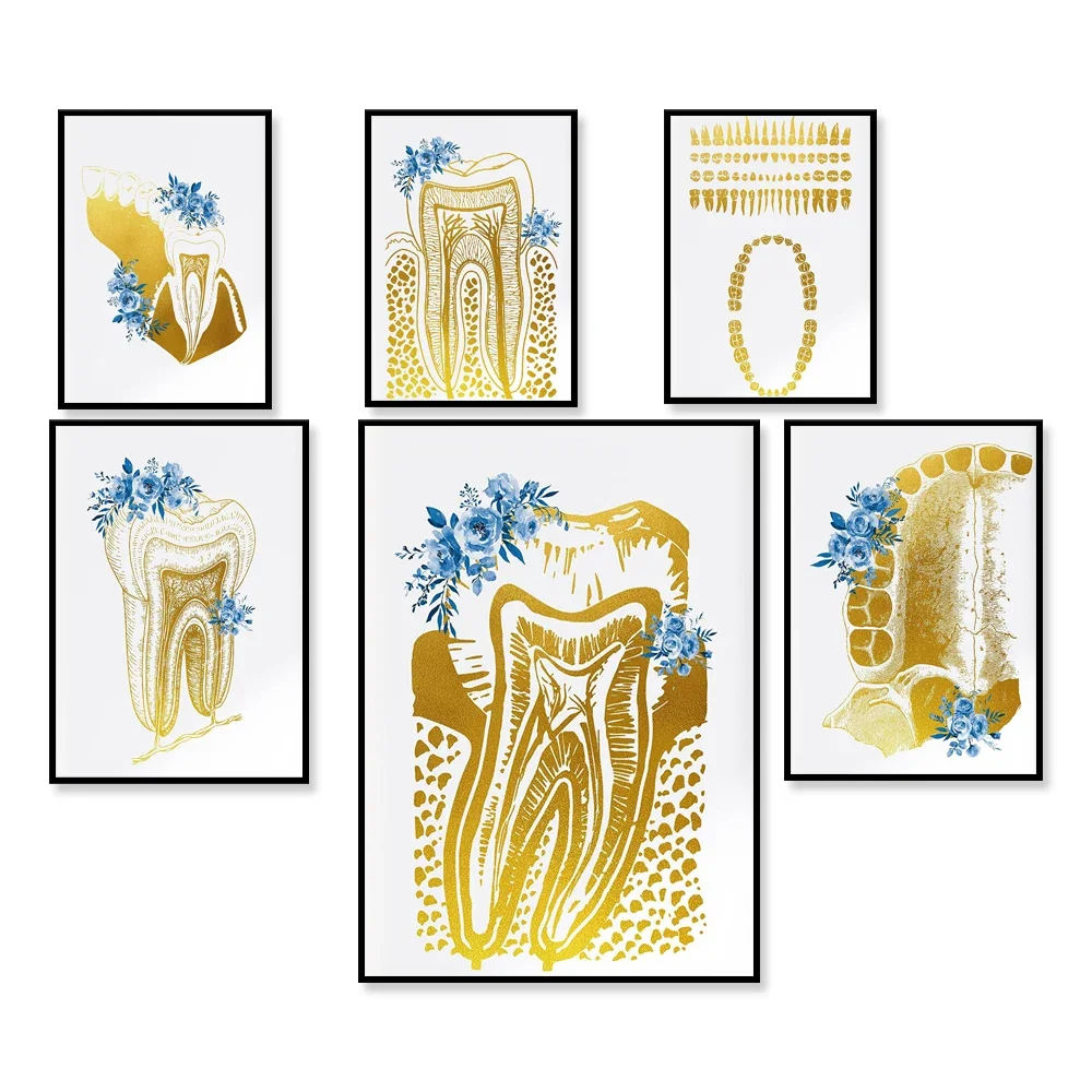 Teeth Diagram Tooth Anatomical Art Tooth Chart Dental Clinic Decor Golden Art Digital Printable