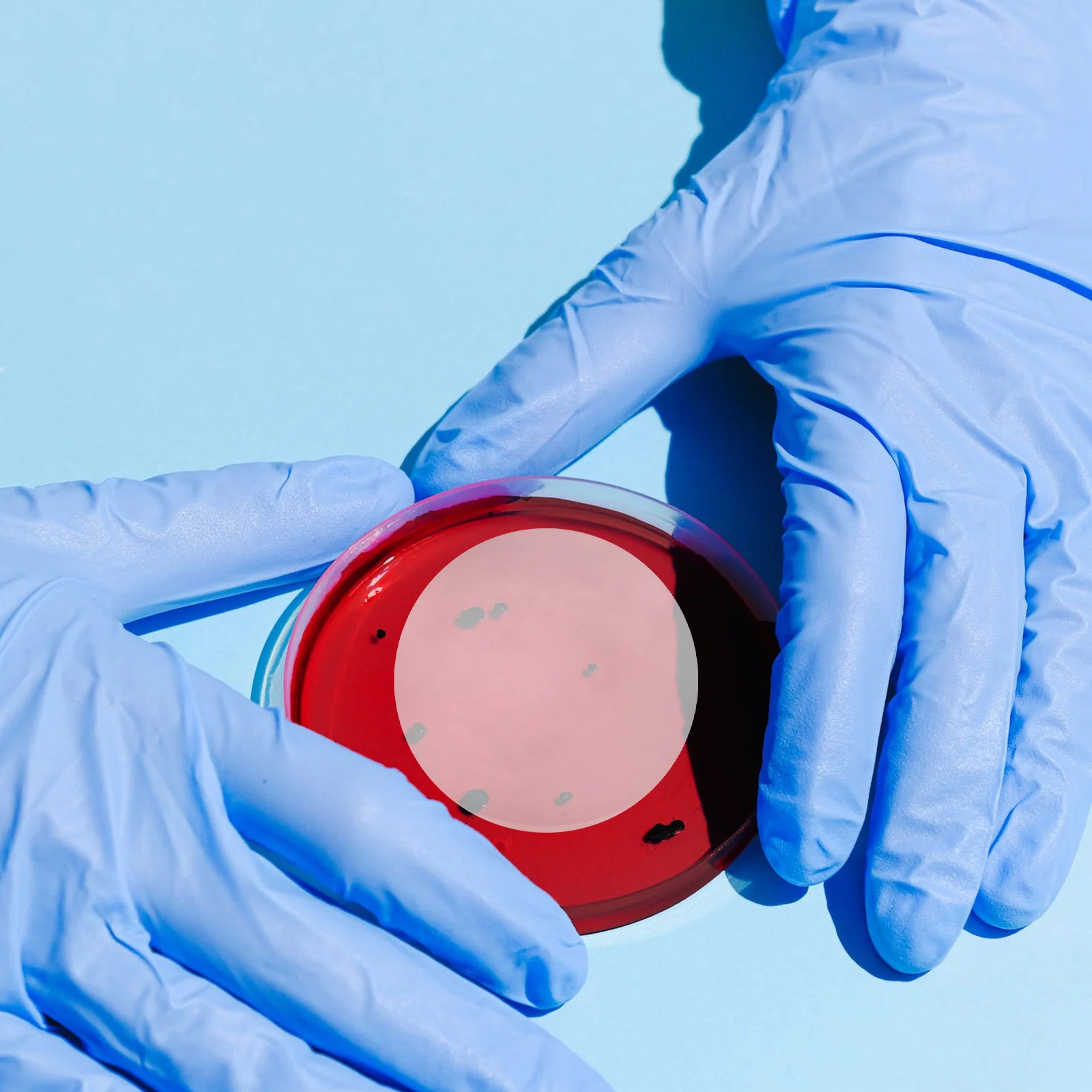 

10Pcs Watch Glass Thickened Laboratory Cover 45mm Clear Chemistry Beaker Cover for Teaching Chemical Experiments