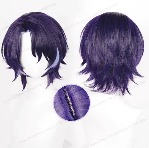 Honkai Star Rail Dr. Ratio Cosplay Wig 33cm Short Man Hair Anime HSR Cosplay Heat Resistant Synthetic Wigs