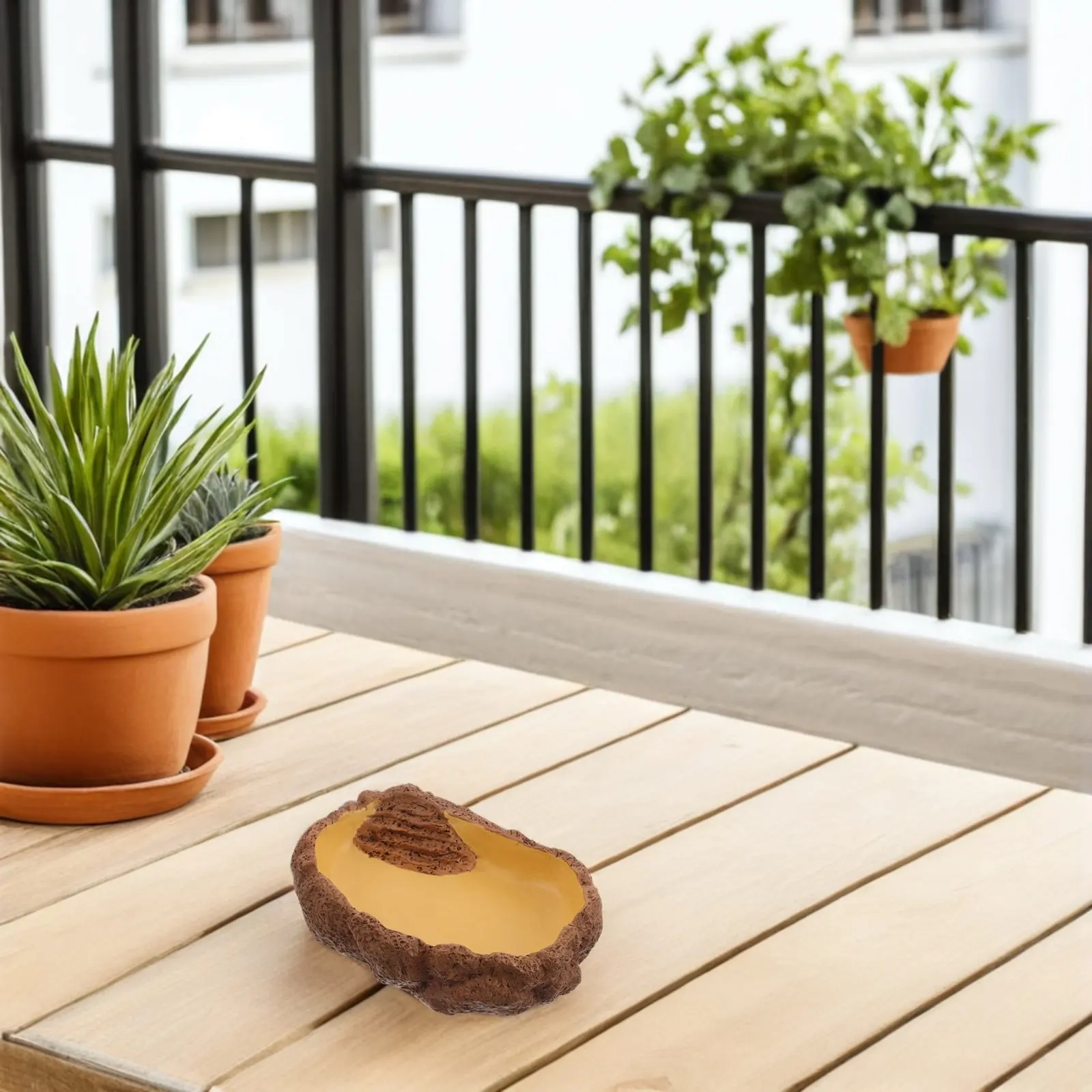 

Reptile Feeding Dish Corner Bowl Natural Style Reptile Water Food Feeding Terrarium Bowl for Bearded Dragon Lizard Frog Gecko