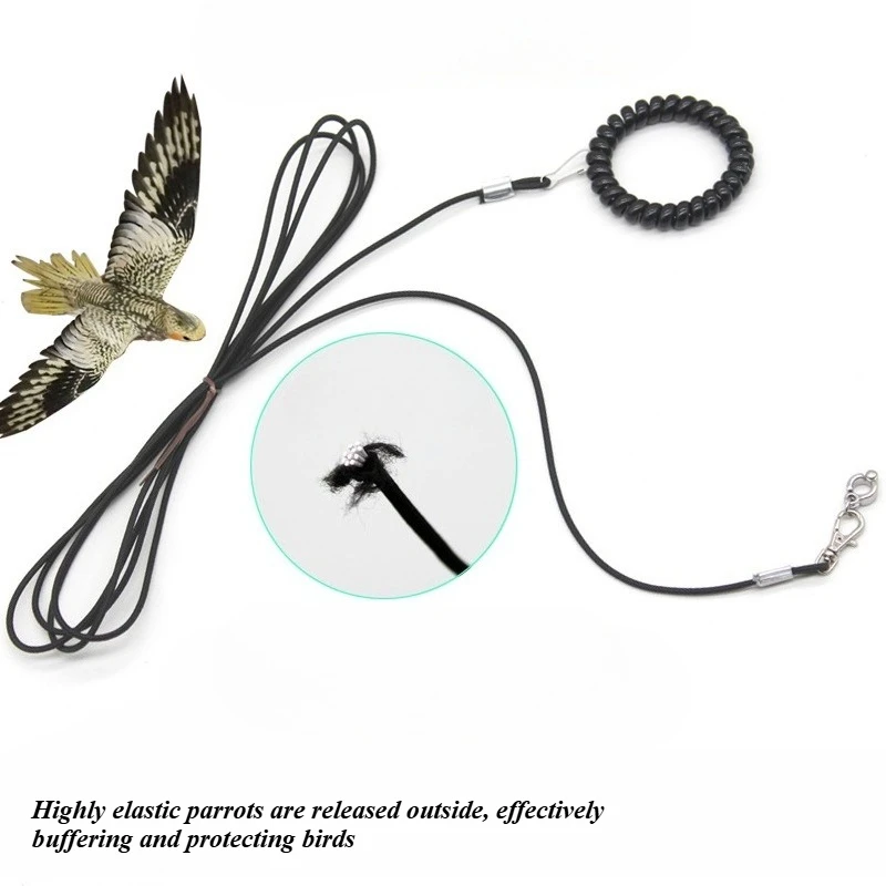 الحيوانات الأليفة الطيور التدريب في الهواء الطلق تسخير حبل الطيور القدم سلسلة الببغاء مكافحة تحلق الجر الأشرطة الطيور قدم سوار الطيور الملحقات #2