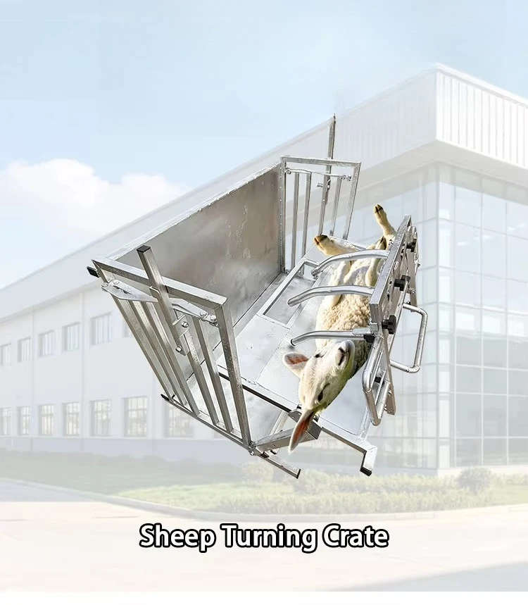 New Galvanized Carbon Steel Sheep Flip Restraint Frame for Veterinary and Farm Use