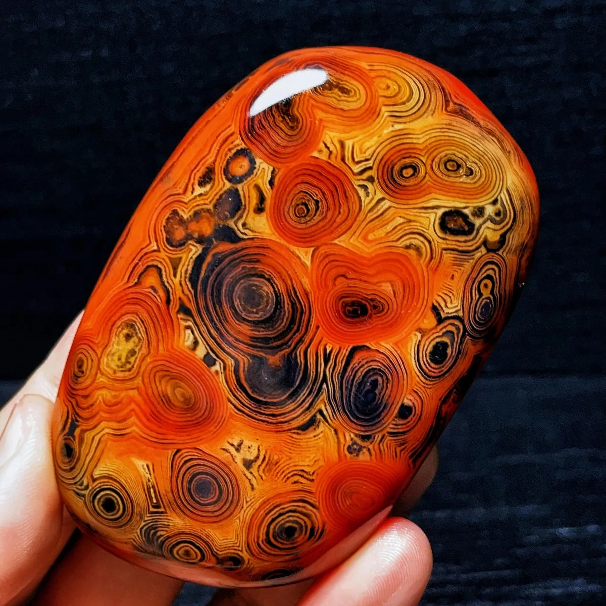 Large Banded Pattern Banded Agate Palm Stone, Polished Tumbled, Multi Color, Collector Gift, Natural Stone, Crystal Collection