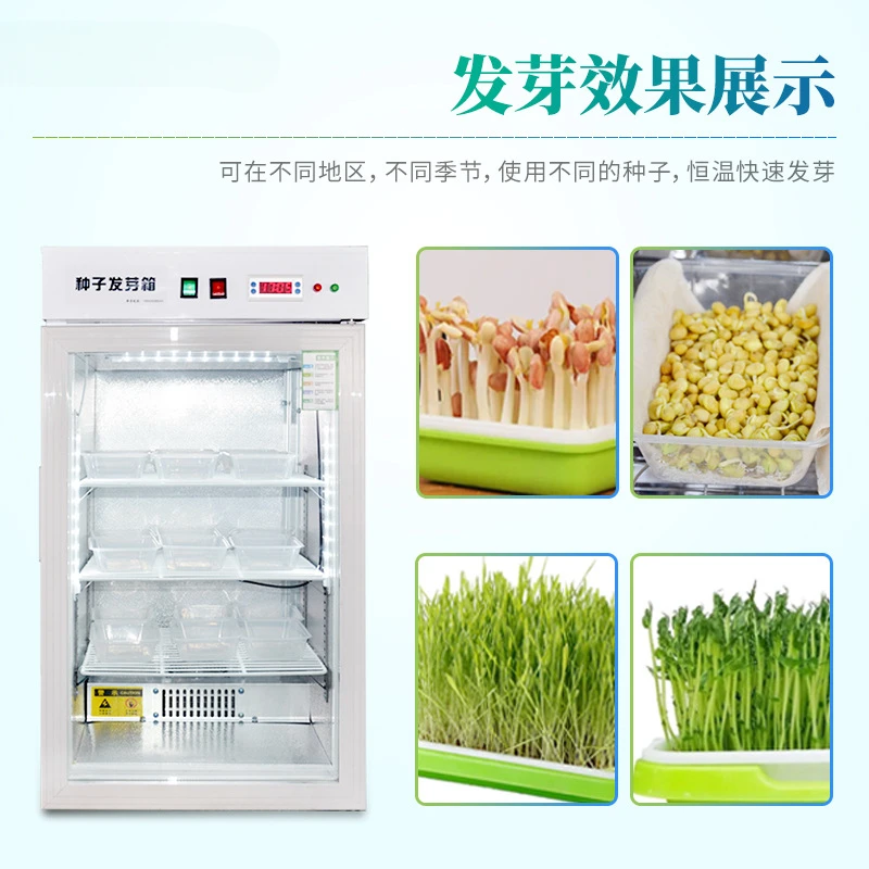 Constant Temperature Incubator Seed Germination Box Intelligent Bacteria Microorganism Thermal Shock Test Chamber