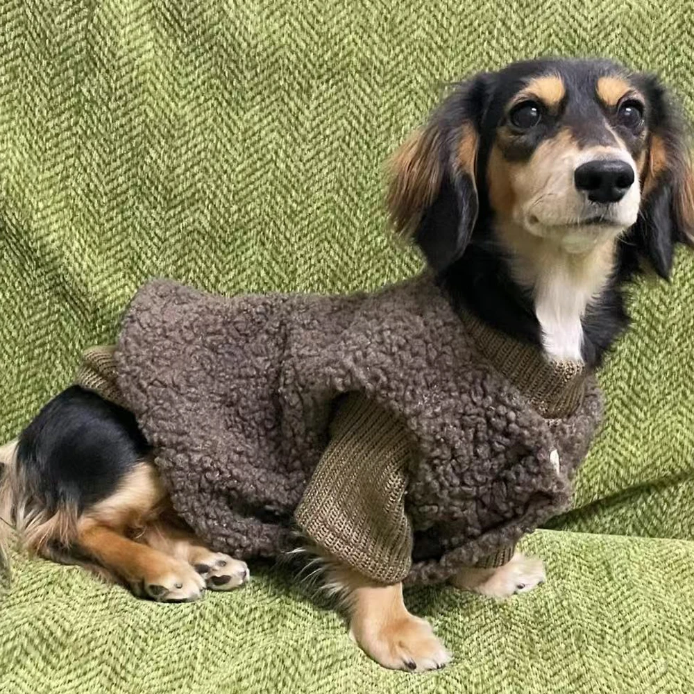 Winter-Strickpullover, Mantel für Dachshunde, Herbst-Loungewear für Wiener Hunde, Winterweste, Anzug für kleine Dackelhunde – Detail 2