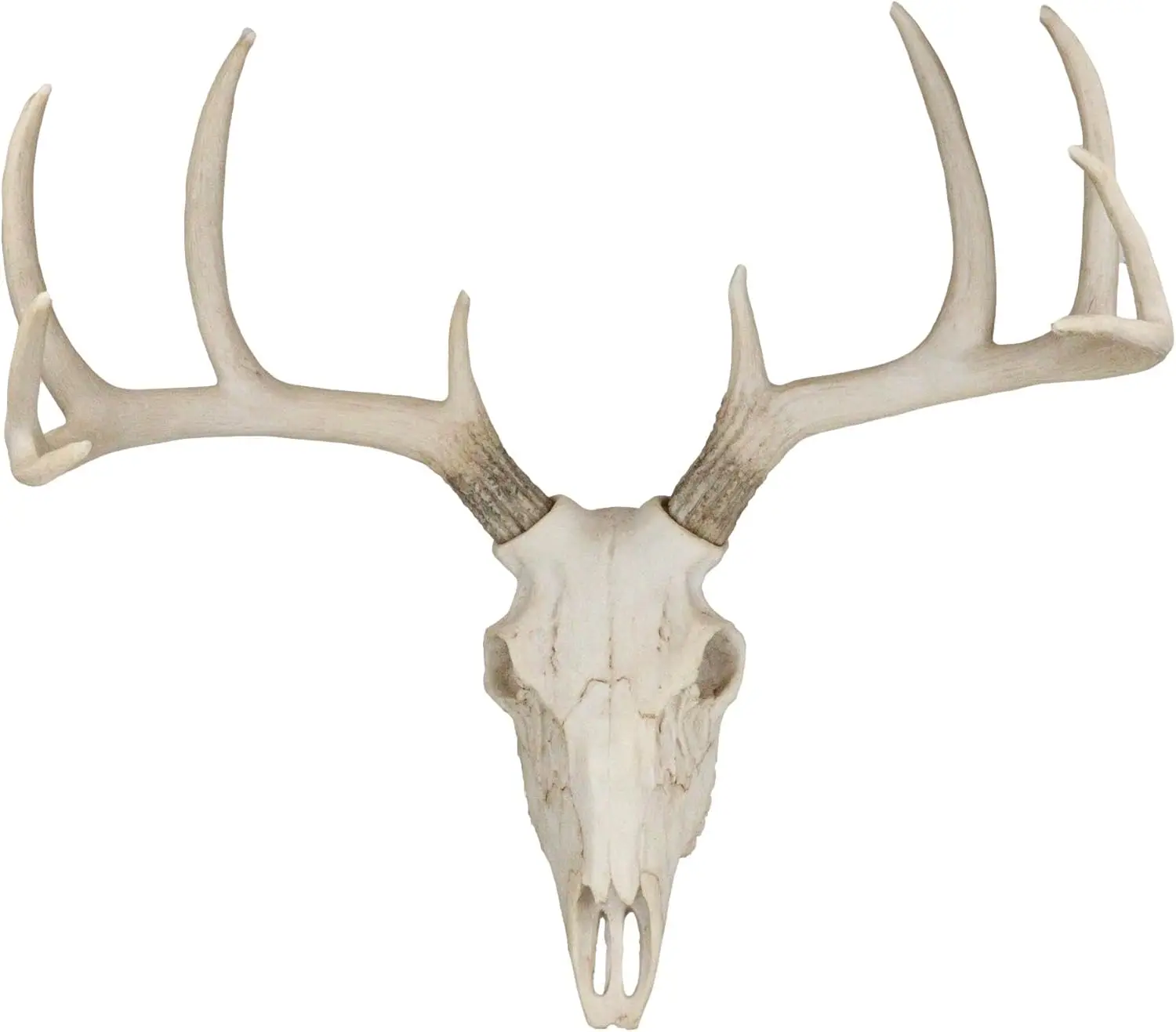 Resin 10-Point Buck Head Wall Mount, 18.5