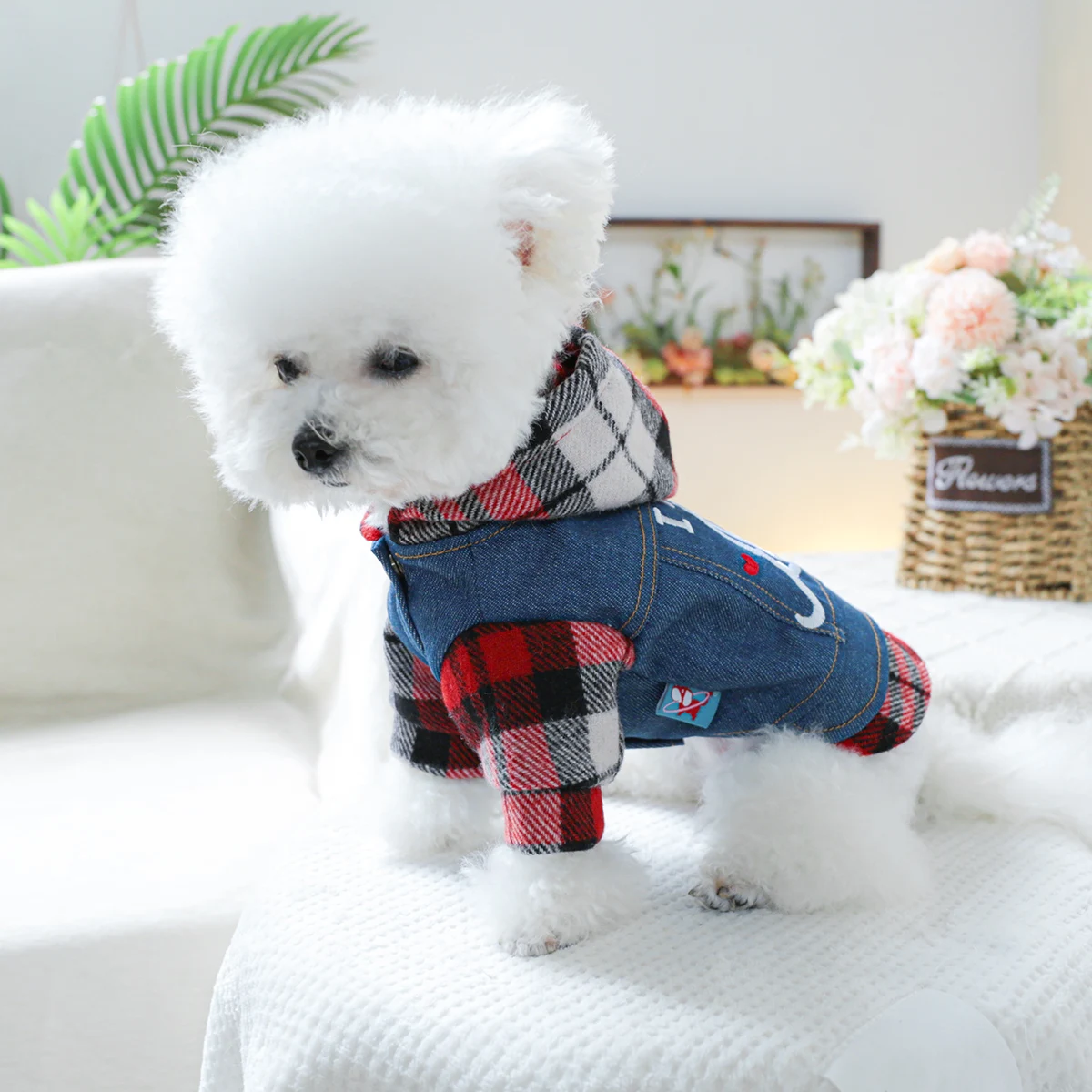 1PC pet clothing dog Spring and autumn kiss denim hat jacket suitable for small and medium -sized dogs