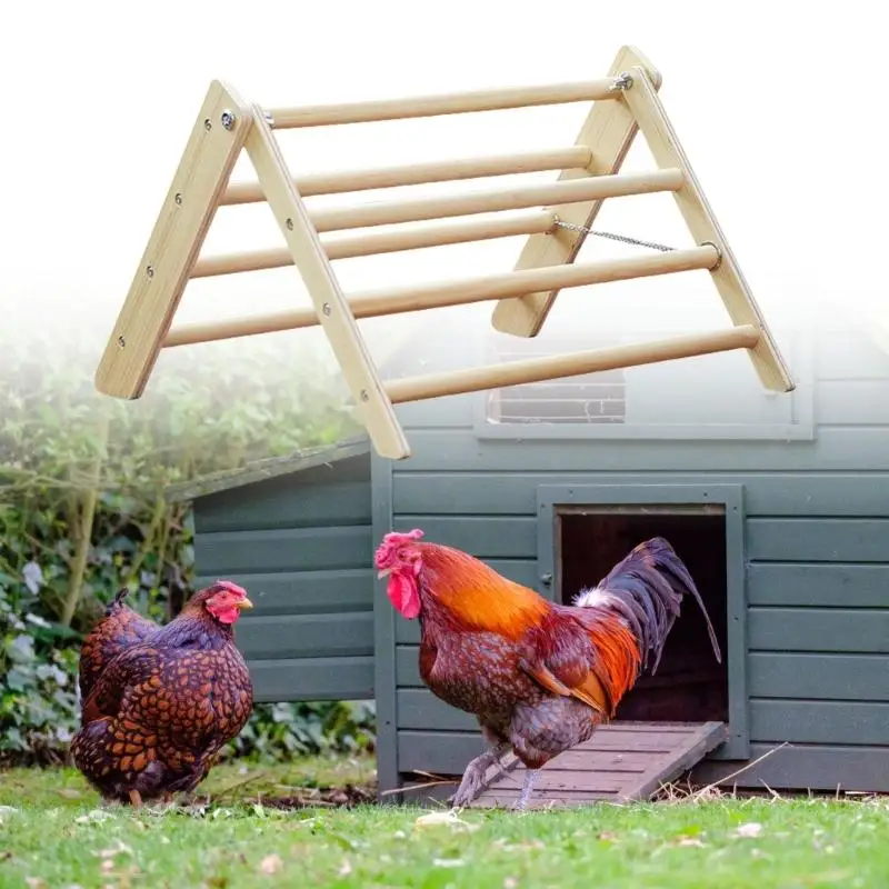 97QD ثلاثية الدجاجة الخشبية جثم تصميم قابلة للطي القابلة للإزالة قابلة للتجول في حدود الدواجن الأساسية #5