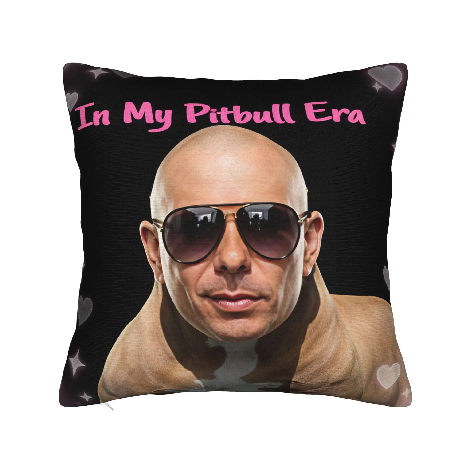Pillow Case Pitbull Mr Worldwide Tour Comfy  Pillow Cover For Living Room Sofa Cute Funny Pillowcases