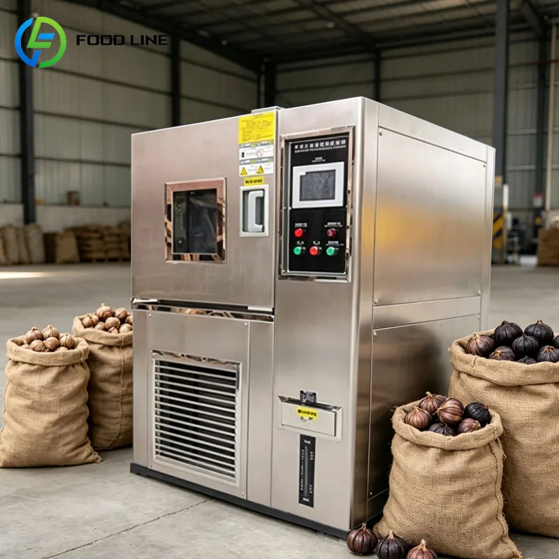 Black Garlic Fermentation Machine Automatic Fermentation Chamber Commercial Aging Machine Stainless Steel Customized