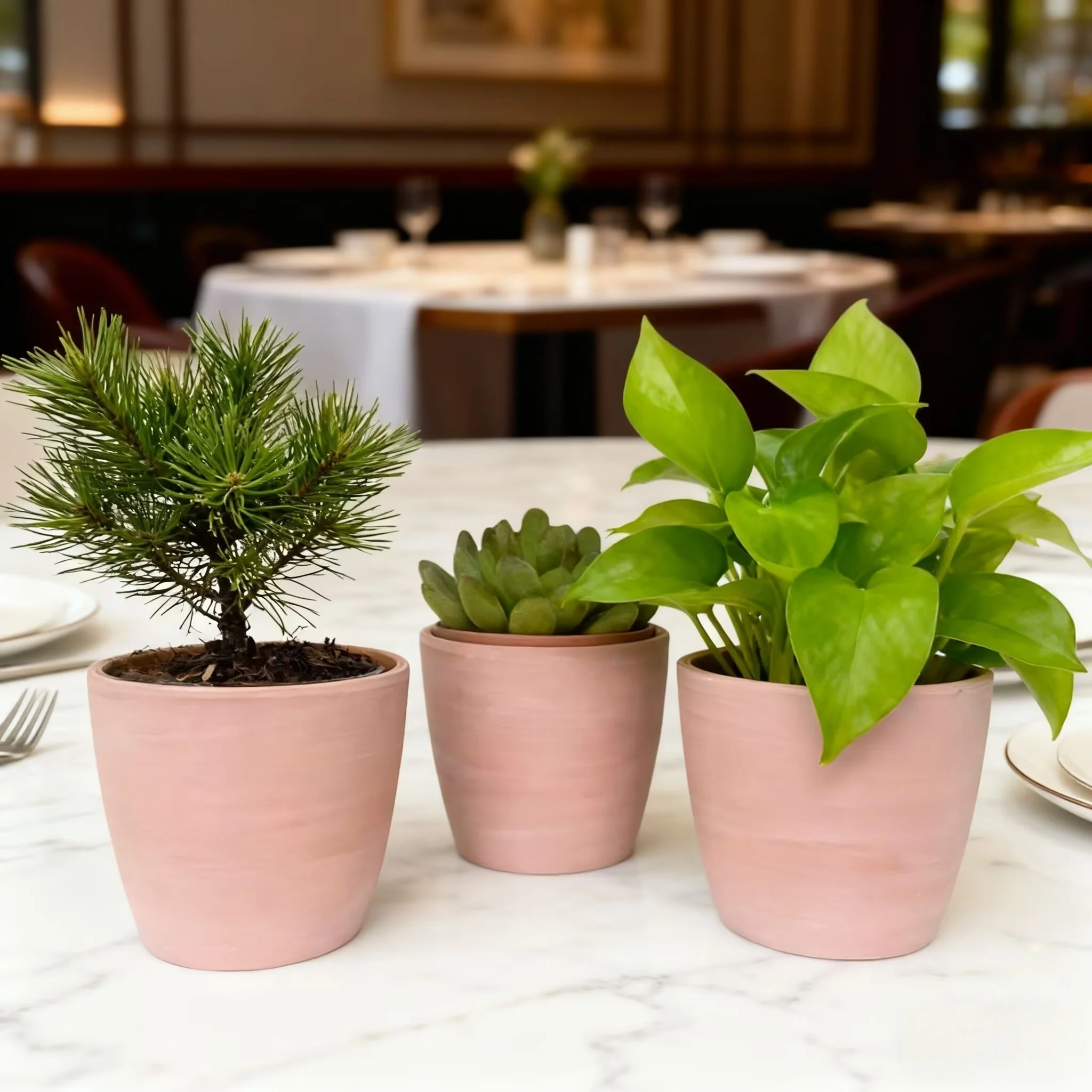 10pcs Pack Egg shape Terracotta Pots, 3 Inch Red Clay Planter Pots with NOT Drainage. Pottery Succulent Planter, For Garden