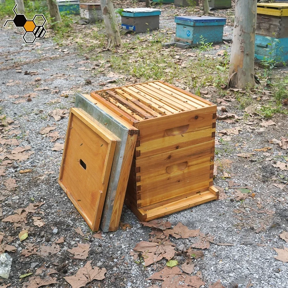 Bee Keeping Equipment Wax Coated Langstroth Bee Hives Bee Boxes