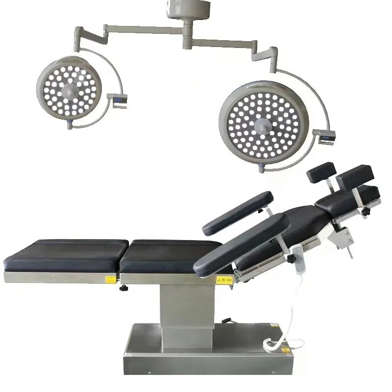 

LED700/500 Double-Head Hospital Shadowless Lamp Manual & Electric Operating Room Light Plastic & Metal Material