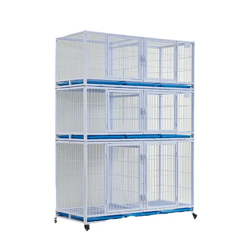 

Cats and dogs, universal, pet store, foster cage, display, bold