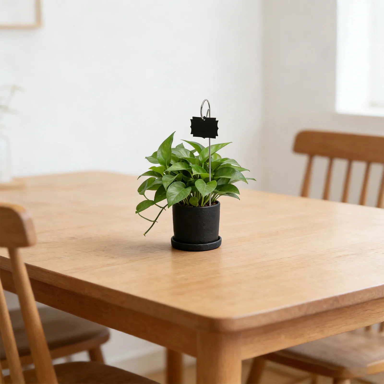 1Set Balcony Plant Labels Acrylic Mini Chalkboard Sign Weather Resistant Garden Stakes Plant Markers for Herb Flower Pot