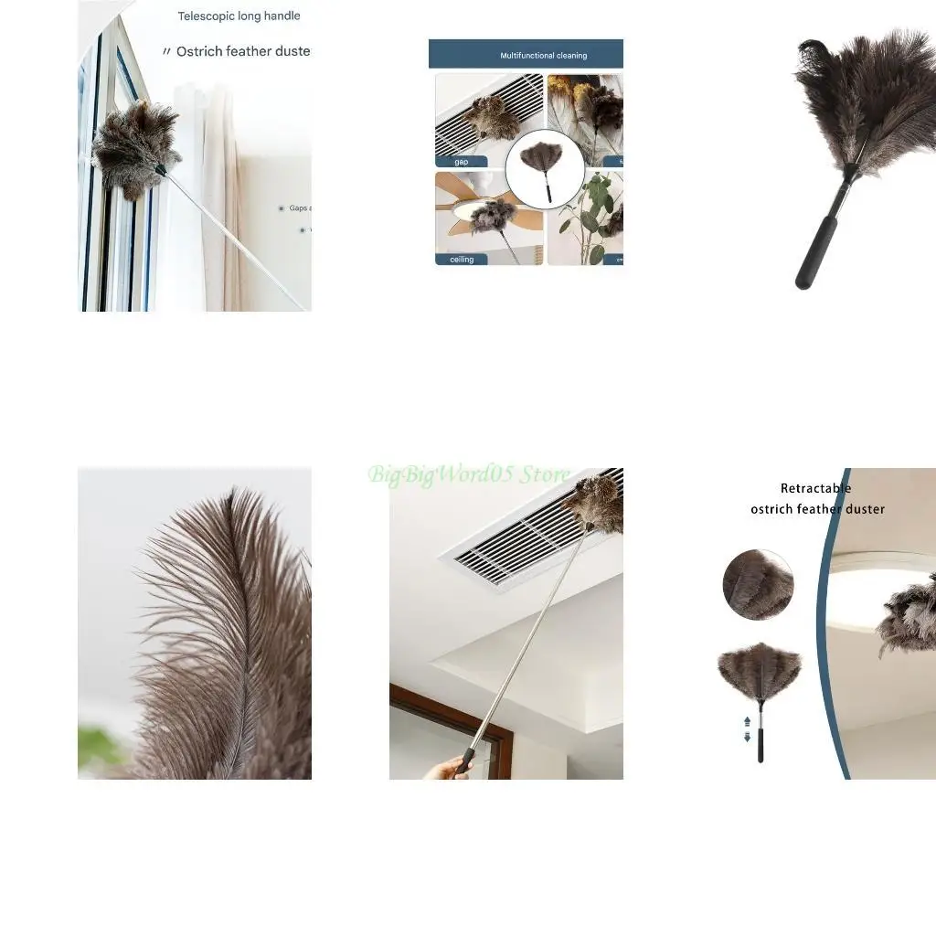 

24TE Телескопируя естественный пернатый инструмент для пыления тряпки антистатический для нежной чистки