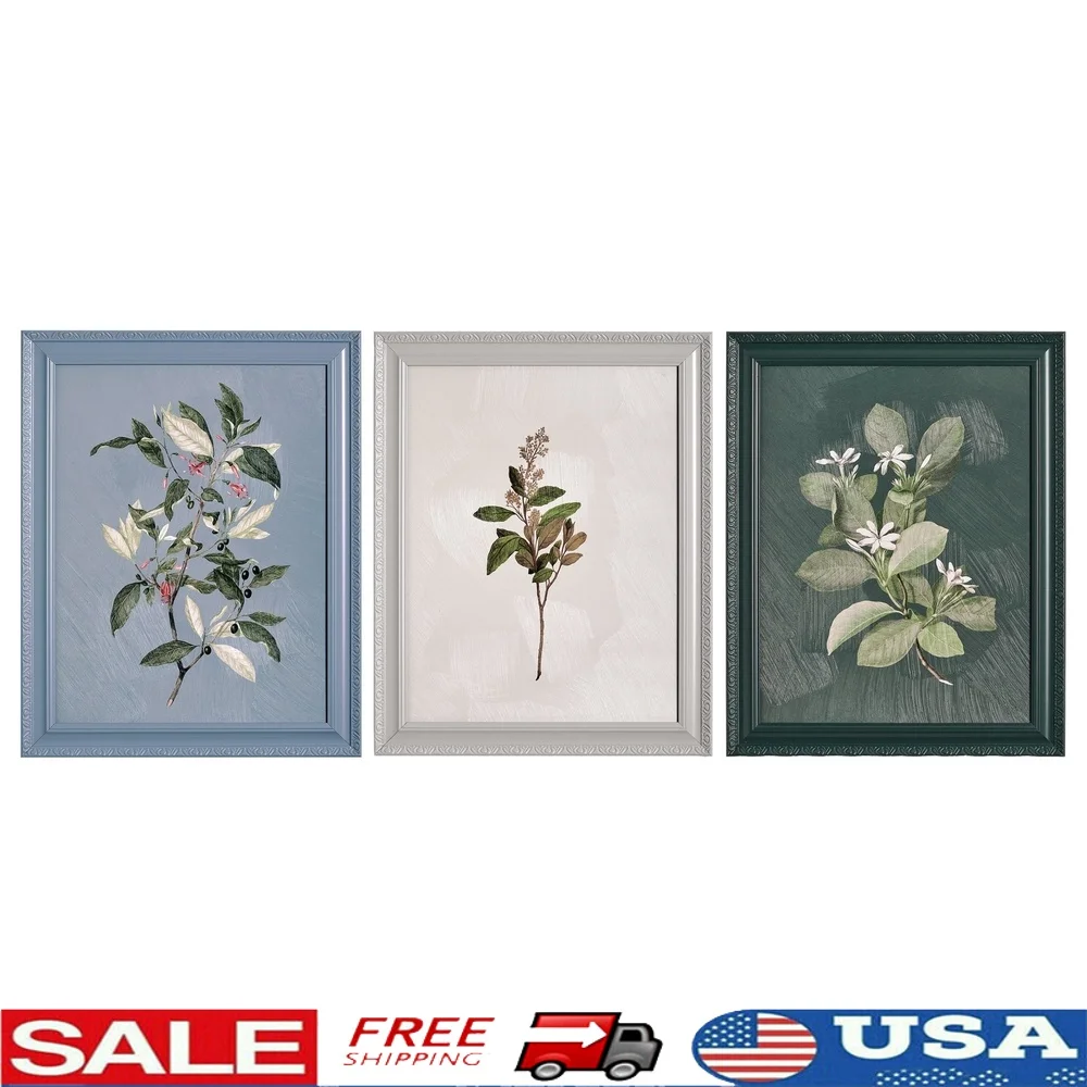

Framed Vintage Botanical Art Set of 3 Floral Prints Retro Color Blocks Nature Inspired Wall Decor Living Room Bedroom Kitchen