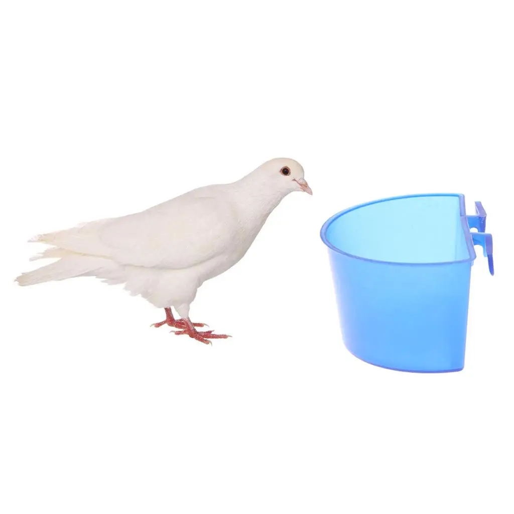 10 Pieces Bird Semicircular Hanging Water Bowls Feeder for Cage