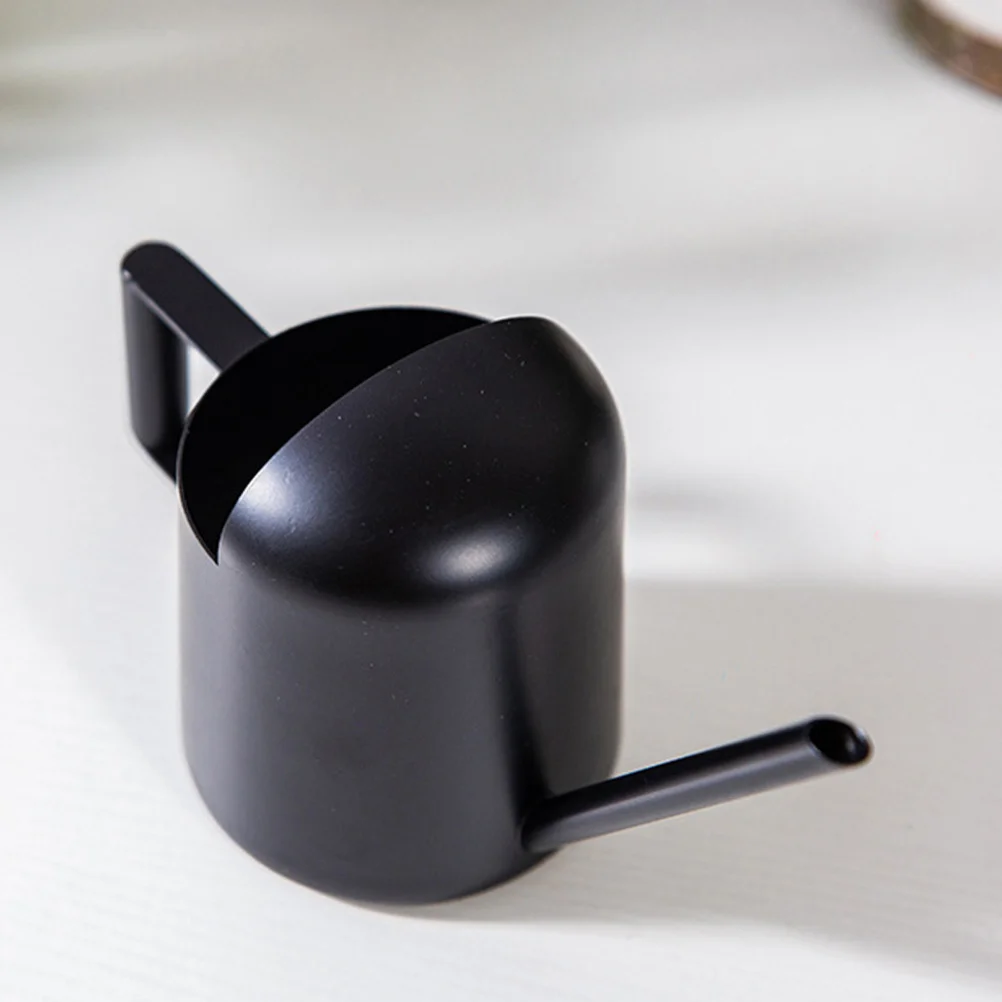 

Stainless Steel Watering Can Long Spout For Indoor Outdoor Plants Garden Tool Bonsai Succulent Watering Pot Household