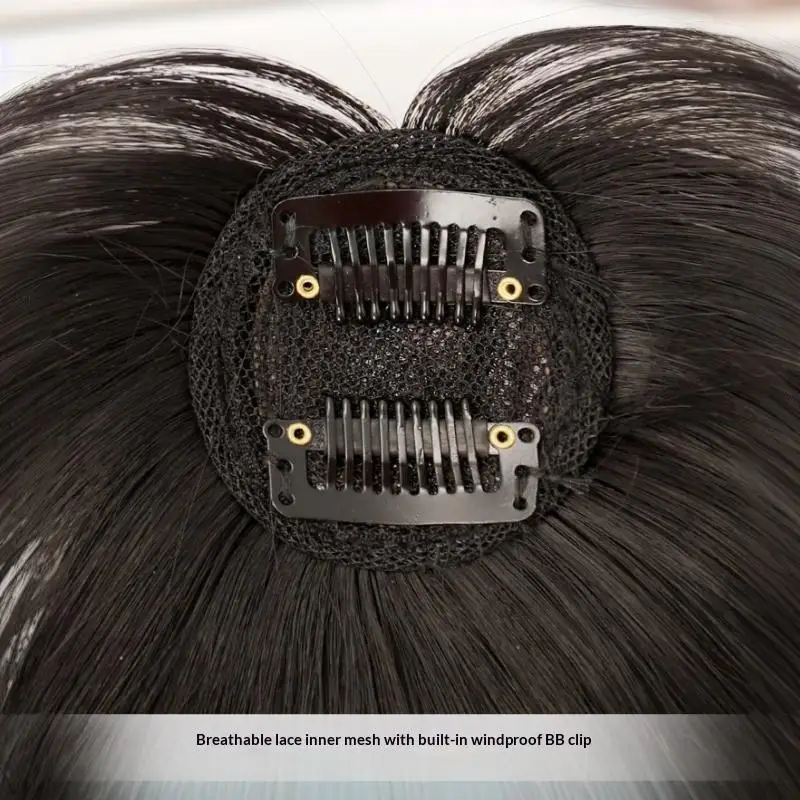 6/10 Stück Snap-Clips-Set Perücken-Doppelseitige Klebeklammern U-förmige Klammern Professionelle Haarverlängerung für Haarponys Haarklammern – Detail 5