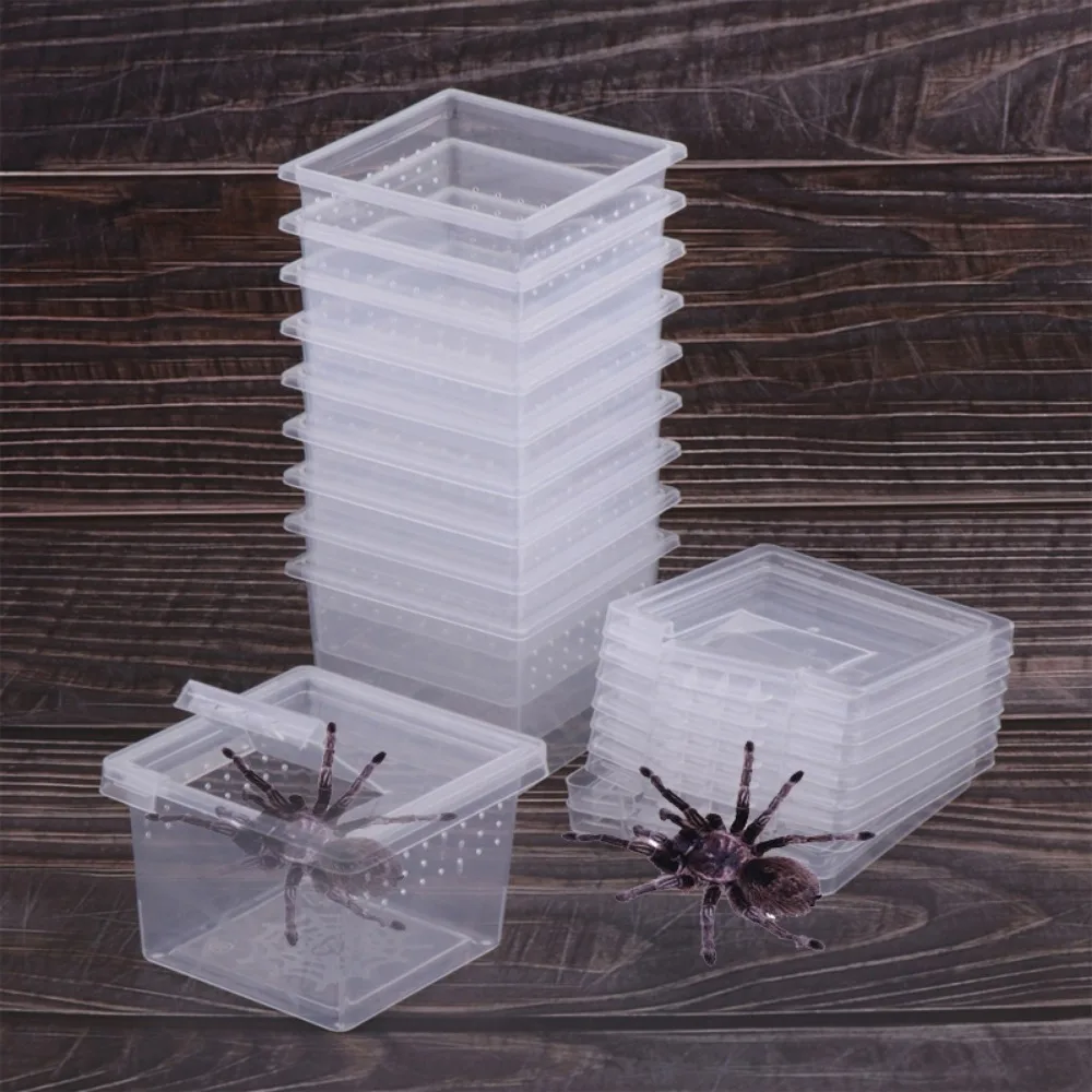 

Accessories for Scorpion Spider Ants Transparent Plastic Reptile Habitat Lizard Living Box Hatching Tank Insect Feeding Box