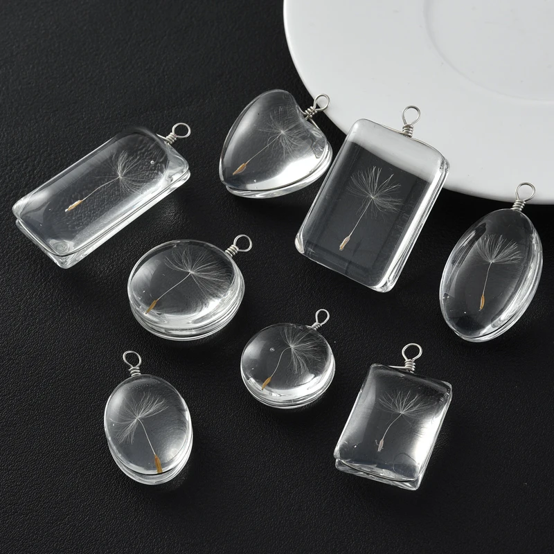 2pcs Transparent Round Dried Flower Dandelion Glass Charms Clear Daisy Hibiscus Blossom Pendant for Jewelry Making