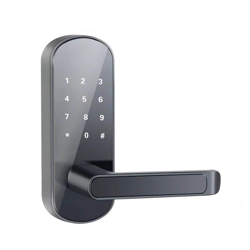 Ttlock app wohnung home digital wifi türschloss inroom schlüssel loser griff