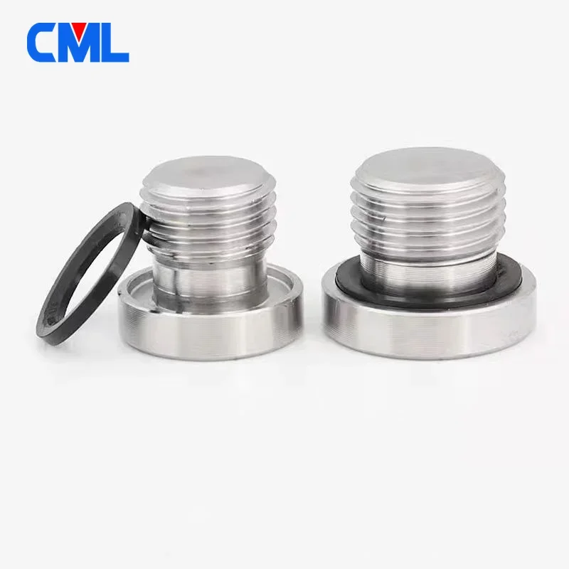 M24 27 30 36 42 48 60 Metric Male Thread 304 Stainless Steel Hex Socket End Cap ED Rubber Ring Flange Hexagon Plug Pipe Fitting