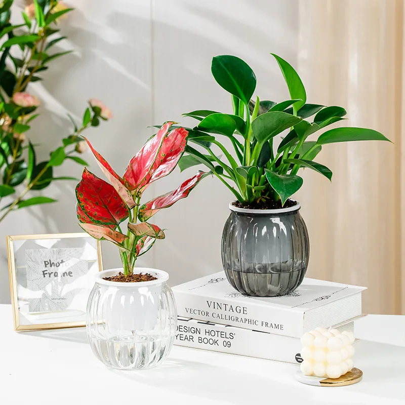 Lazy Flower Pot Outer And Inner Pot Imitation Glass Series Garden Plastic Self Watering Flowerpot With Cotton Rope