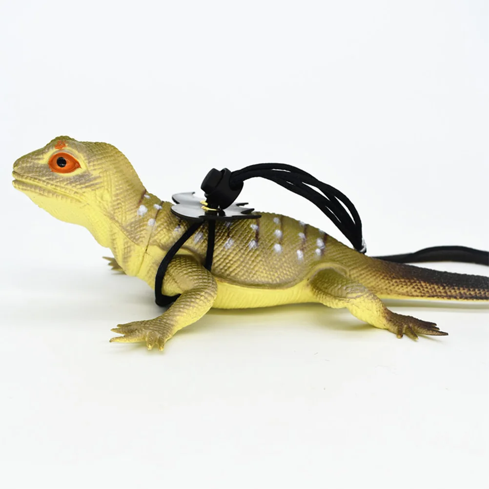 

2Pcs Lizard Harness Rope Reptile Leash Winged Pet Outdoor Accessories M Black S Blue Reptile Leash Harness Rope for Lizard