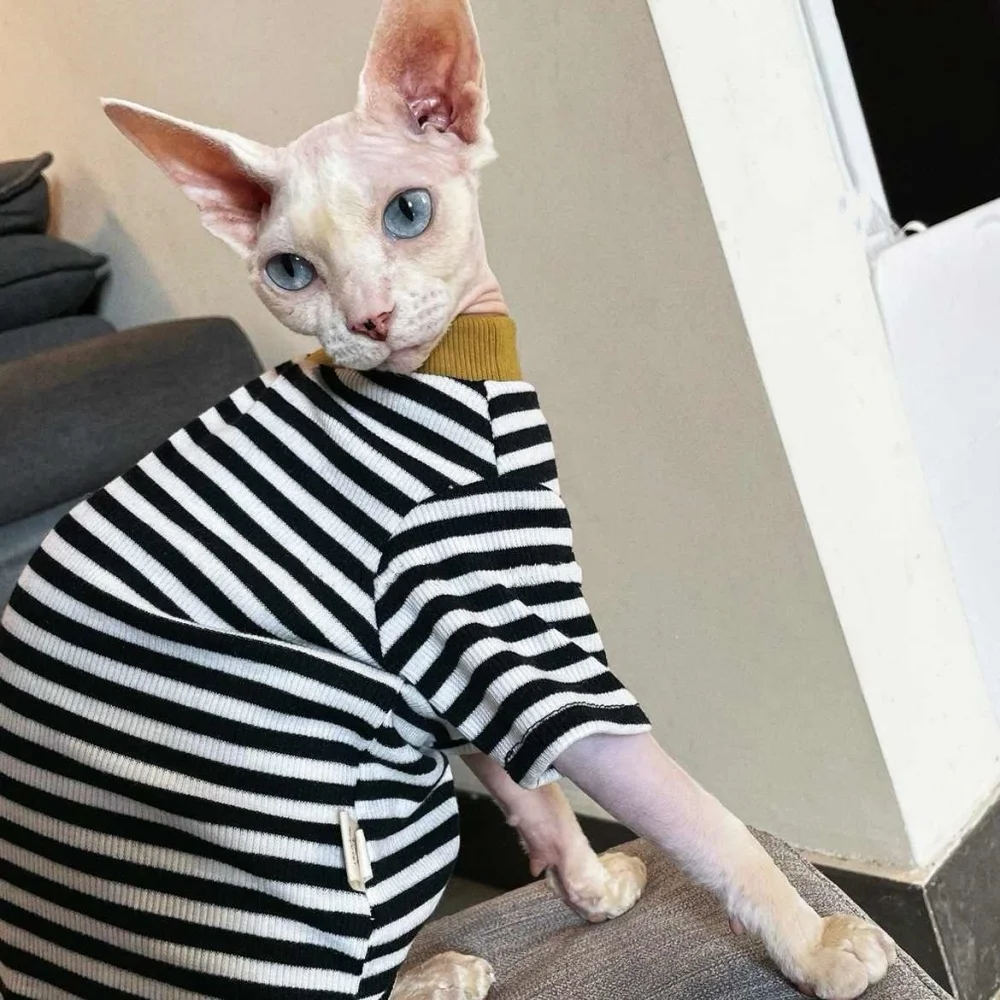 Cat Clothing Spring Yellow Cotton Striped T-Shirt for Sphynx Cat Fashion Green Blue Soft Coat for Abyssinian Cat in Autumn