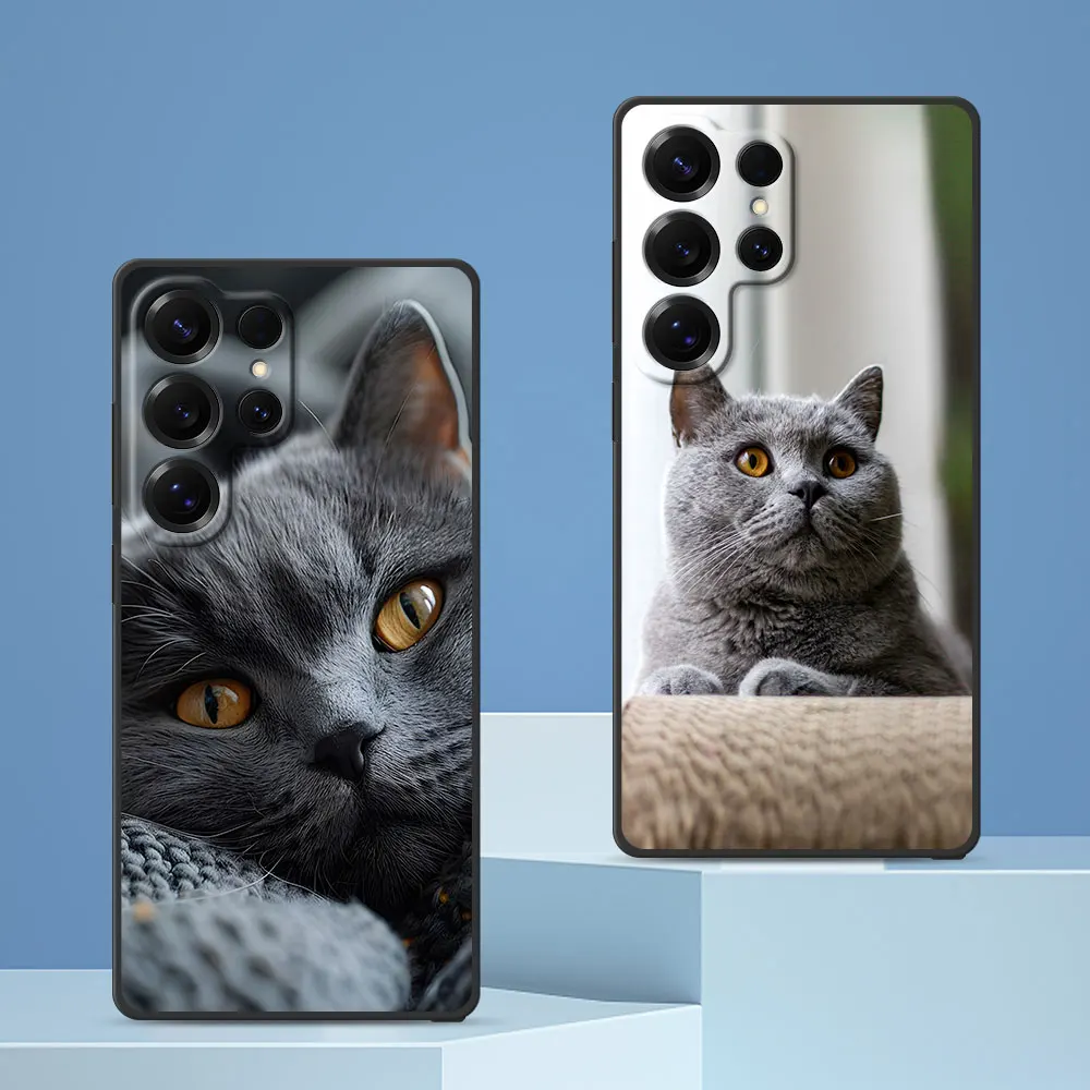 Bonito britânico shorthair gato caso para samsung galaxy s24 s22 s23 s25 s20 fe s7 borda s9 s10 s21 ultra s8 plus tpu preto capa de telefone