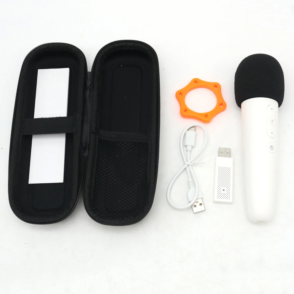 

Type-C Charge Caraoke Mic With Receiver Karaoke Microphone For BYD Tang Song Dolphin Mini Seagull DMI Sealion 7 Seal 6 Yuan Qin