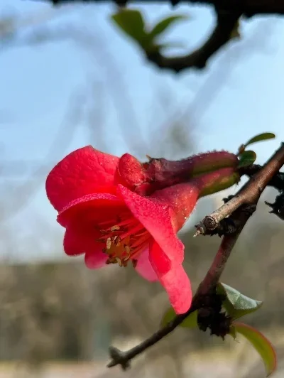 

Electric Motor Gearbox Cover for Hyper GO MJX 1/7 7303 7304 RC Car Metal Upgrade OP Accessories Parts