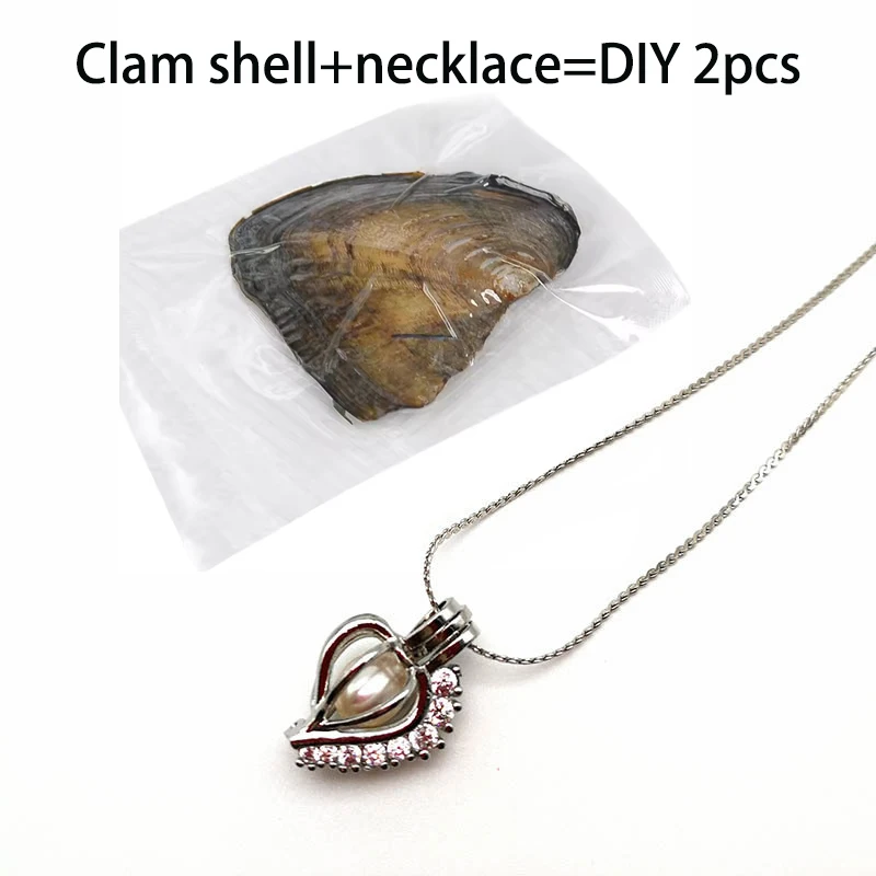 Charm Shell Caja de Perlas Pingente Coração Pingente Colar Pérola Natural Para Mulheres Moda Corrente Conjunto de Jias Presente Criat