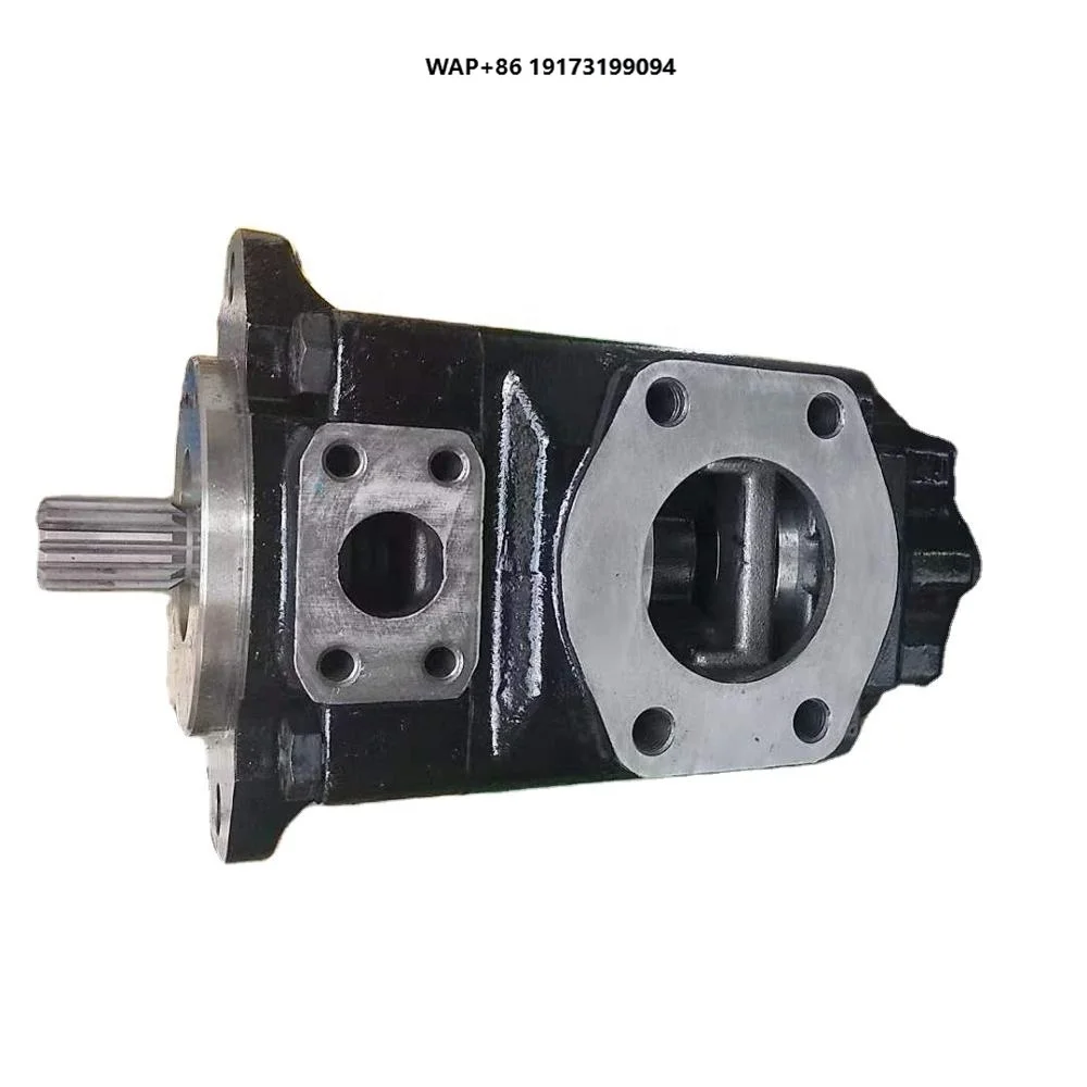 

Replacement Parker 707565 Hydraulic Steering Pump 31LB-00400 31LH-00200 31LH-00020 Double Vane Pump