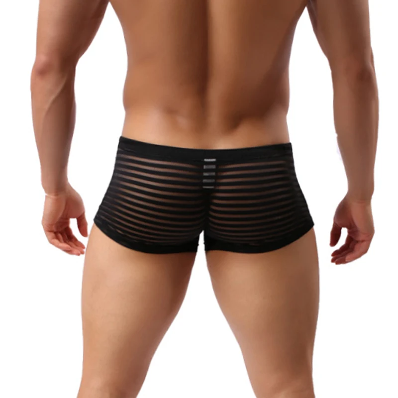 Transparent Boxers Men Sexy Mesh Sheer Striped Underwear See Through Underpants Boxer Shorts Mesh Trunk Cuecas